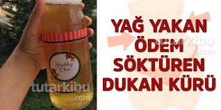 Yag Yakan Odem Sokturen Dukan Kuru Diyet Yag Fitnes Diyeti