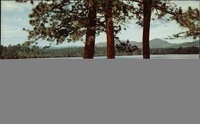 White lake state park campground. White Lake State Park Beach Picnic Area Tamworth Nh