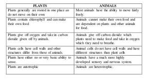 Main difference between animal cell and plant cell is nutrition growth movement respiration. Rasheeda Differences Between Plants A Rasheeda Science Plants