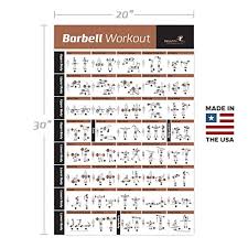 Barbell Workout Exercise Poster Laminated Home Gym Weight Lifting Chart Build Muscle Tone Tighten Strength Training Routine Body Building
