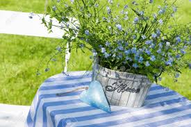 Cats will only lie in flower pots until they're too big to fit. Forget Me Not Flowers In Flower Pot Stock Photo Picture And Royalty Free Image Image 20073365