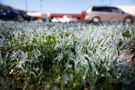 Dallas Temperaturas Caeran Hasta Los 30 F Advertencia Por Clima Congelante