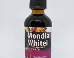Image result for Mondia ecornuta