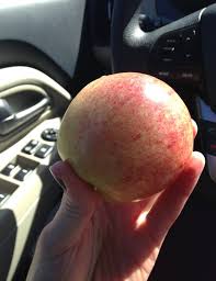 Free stock photo of background diet disease. Makanan Ringan Dan Perbekalan Saat Perjalanan Mobil Motor