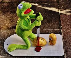 Check spelling or type a new query. Royalty Free Sit Kermit Photos Free Download Pxfuel