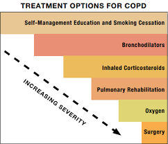 Image result for Medications in COPD Management
