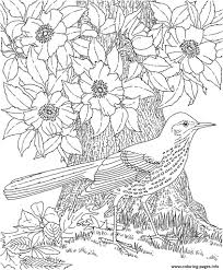 For boys and girls, kids and adults, teenagers and toddlers, preschoolers and older kids at school. Cool Colouring For Adult 2016 Coloring Pages Printable