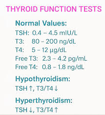 Image result for Thyroid Function Test