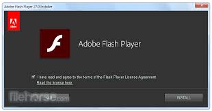 You have to have the installer program from adobe before you can run the free install of flash player, according to what is my browser. Flash Player Ie Descargar 2021 Ultima Version Para Windows 10 8 7