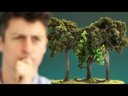 We don't know what's happening with forests