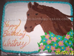Nautical cake on the white background. 12 Cool Horse Cake Designs You Can Easily Make