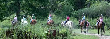 Underneath the list of top horse camps, there are many other camps that offer riding activities as part of other typical programming. Horse Camps Horseback Riding Overnight And Day Camps
