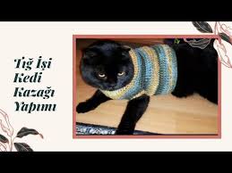 kedi kazagi suveteri yapimi tig isi cok kolay how to crochet a cat sweater youtube kedi kopek tig isleri