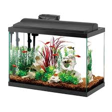 Interior decoration in an asian style cannot be called complete without such an element as water. Practical Tips For A Healthy Aquarium