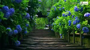 Image result for wallpaper background delaware
