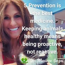 Troy Eckhardt, PhD, EA