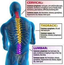 Almost every bone in your body is made of the same materials: Post Laminectomy Syndrome Failed Back Or Neck Syndrome