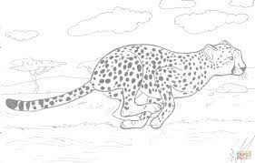 Check spelling or type a new query. Cheetah Running Coloring Page Free Printable Coloring Pages Animal Coloring Pages Printable Animal Pictures Mermaid Coloring Pages