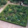 With medieval roots, english knot gardens were popular during the tudor period in both england and france. Https Encrypted Tbn0 Gstatic Com Images Q Tbn And9gct0vexicak Itsud8a7dmjugec7dzrrwizluqwrw6uaaz Vzmcl Usqp Cau