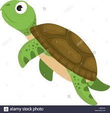 Cartoon picture of a laughing turtle has a green. Cartoon Sea Turtle Stock Vektorgrafik Alamy