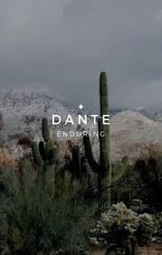 Cactus definition, any of numerous succulent plants of the family cactaceae, of warm, arid regions of the new world, having fleshy, leafless, usually spiny stems, and typically having solitary, showy flowers. Baby Boy Names Unique Latin 53 Ideas Names With Meaning Fantasy Names Boy Names