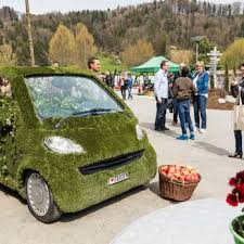 ERNST SPALINGER AG GARTENBAU