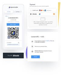 The best free cryptocurrency and bitcoin api. Bitcoin Payment Processor Opennode