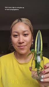 Can You Cut Pothos Plant Roots in Aquarium