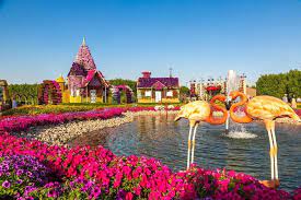 Those driving to dubai miracle garden can avail open car parking services which can accommodate up to 2000 cars. Die 10 Besten Dubai Dubai Miracle Garden Touren 2021 Viator