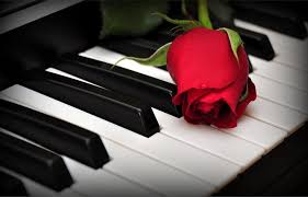 Pin On Pianos
