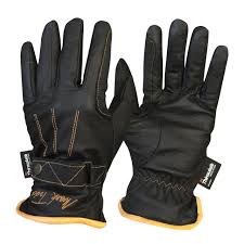 Mark Todd Winter Gloves With Thinsulate Black