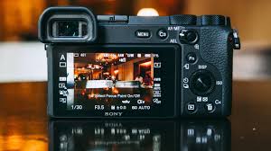 The a6600 follows on from the a6400, taking its place. Sony A6600 Review Pcmag