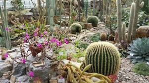 Die wege in der flora sind mit dem rollstuhl gut zu befahren. Einmal Um Die Welt Flora Und Fauna Im Botanische Garten Ideas4parents Botanischer Garten Flora Und Fauna Kaktus