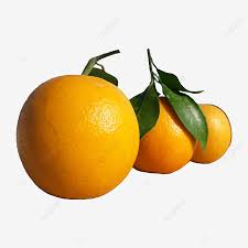 Imej gambar mewarnai buah buahan gambar di atas adalah gambar mewarnai ini dipetik dari blog berikut kali ini, saya akan ketengahkan tentang mengenai gambar mewarna buah oren ini. Gambar Gambar Buah Oren Lutsinar Jeruk Jingga Buah Buahan Png Dan Psd Untuk Muat Turun Percuma