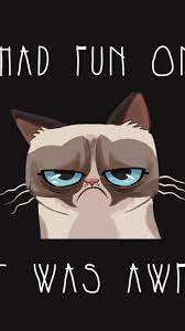 15 Iphone 6 Funny Wallpapers Iphone Wallpaper Cat Cool And Funny Wallpapers Iphone Wallpaper
