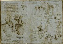 His profound knowledge of anatomy was the prize won from the dissection of over 30 human. Secretum Leonardo Da Vinci E L Anatomia Dell Anima Bibliomanie