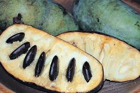 Pawpaw Fruit Health Benefits And Nutrition Facts Ayur Health Tips Fruit Health Benefits Fruit Nutrition Fruit Benefits