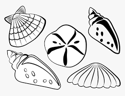We did not find results for: Black And White Sea Shell Clipart Clipart Transparent Sea Shells Clip Art Hd Png Download Kindpng