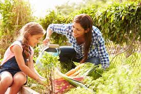 If gardening is a family activity, a large space can be cared for. Family Farming 6 Tips For Starting A Vegetable Garden With Your Kids Better Housekeeper