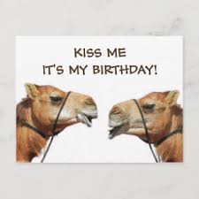 Geburtstag für männer und frauen für karten tiergrußkarten glückwünsche ekartenwelt. Lustig Tier Geburtstag Geschenke Zazzle At