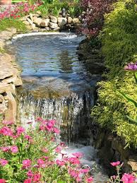 epingle sur idees de jardin