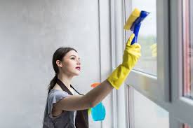 Home Windows Cleaning Hacks | Useful Tips and Tricks