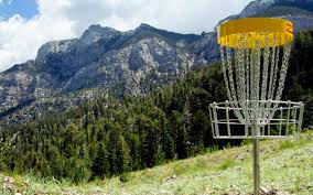 Image result for disc golf