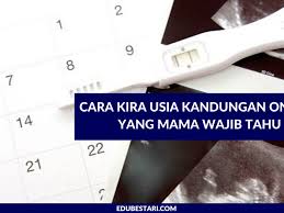 Sebaik sahaja anda tahu istilah anda yang betul, anda tidak boleh risau lagi bagaimana untuk mengira tarikh berlepas cuti bersalin. Cara Kira Usia Kandungan Online Yang Mama Wajib Tahu Edu Bestari