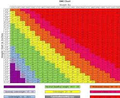 Muscle Mass Chart Lifeselector Online