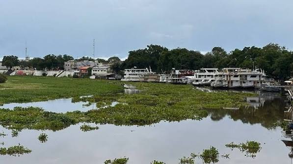 Cheia no Pantanal desloca camalotes, fen&ocirc;meno que salvou C&aacute;ceres na Guerra do Paraguai | C&aacute;ceres Not&iacute;cias