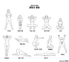 반려암캐훈련사J on X: 