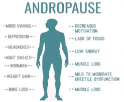 Andropause traitement naturel