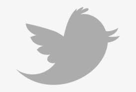 Why don't you let us know. Twitter Logo Transparent Png Transparent Grey Twitter Icon 1024x1018 Png Download Pngkit