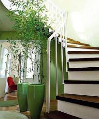 28 Green And Brown Decoration Ideas Indoor Bamboo Plant Bamboo House Plant Tall Indoor Plants